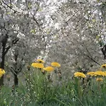 Vakantiehuisjes Theodorus En Josephine - Landgoed Heerdeberg- Maastricht