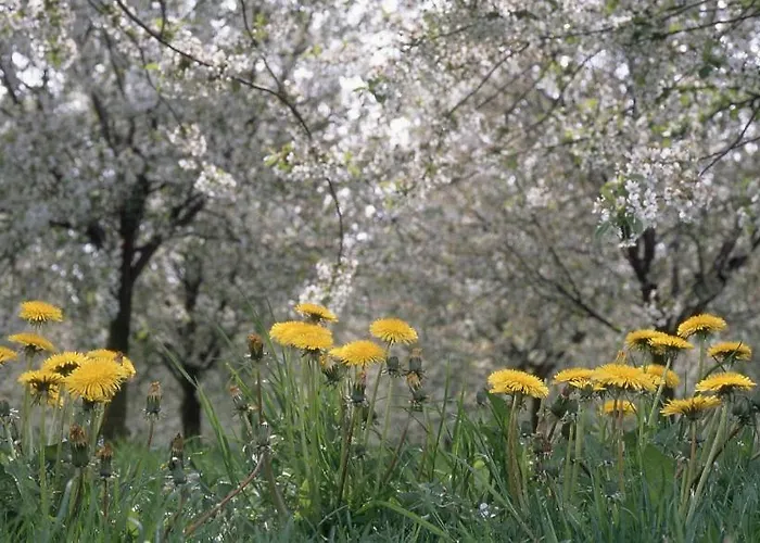 Vakantiehuisjes Theodorus En Josephine - Landgoed Heerdeberg- Maastricht